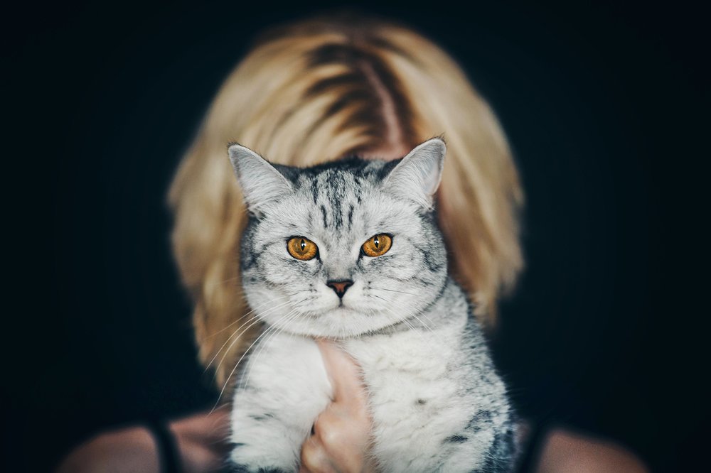 Photograph by Марина Алгаева