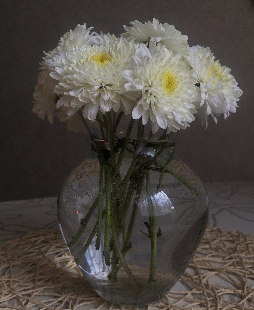 Photograph by Анастасия Чернякова