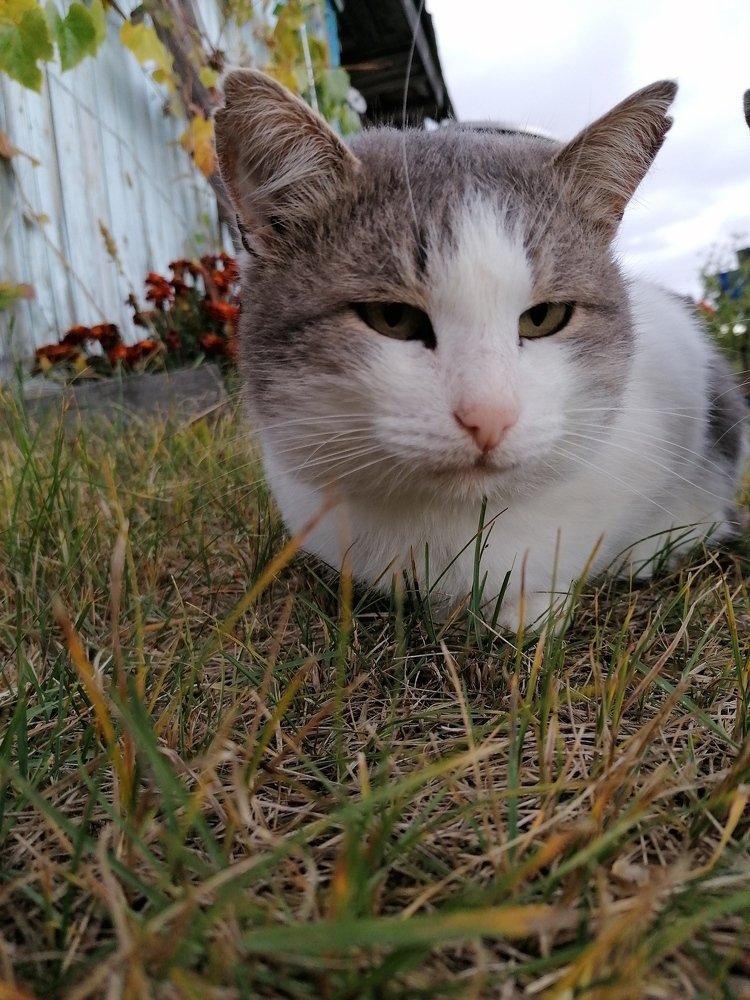 Photograph by Ксения Туваева