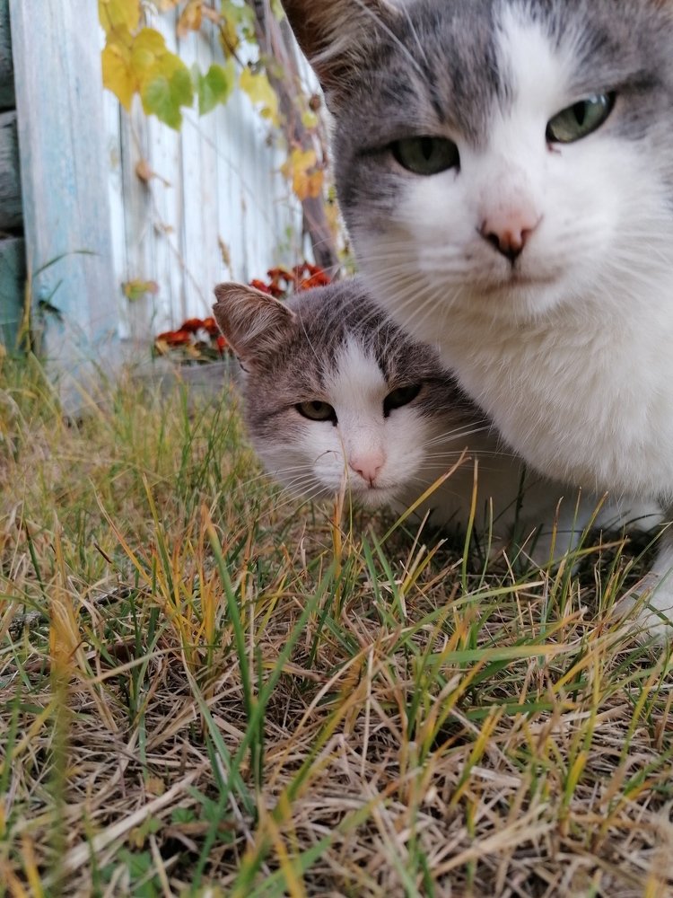 Photograph by Ксения Туваева