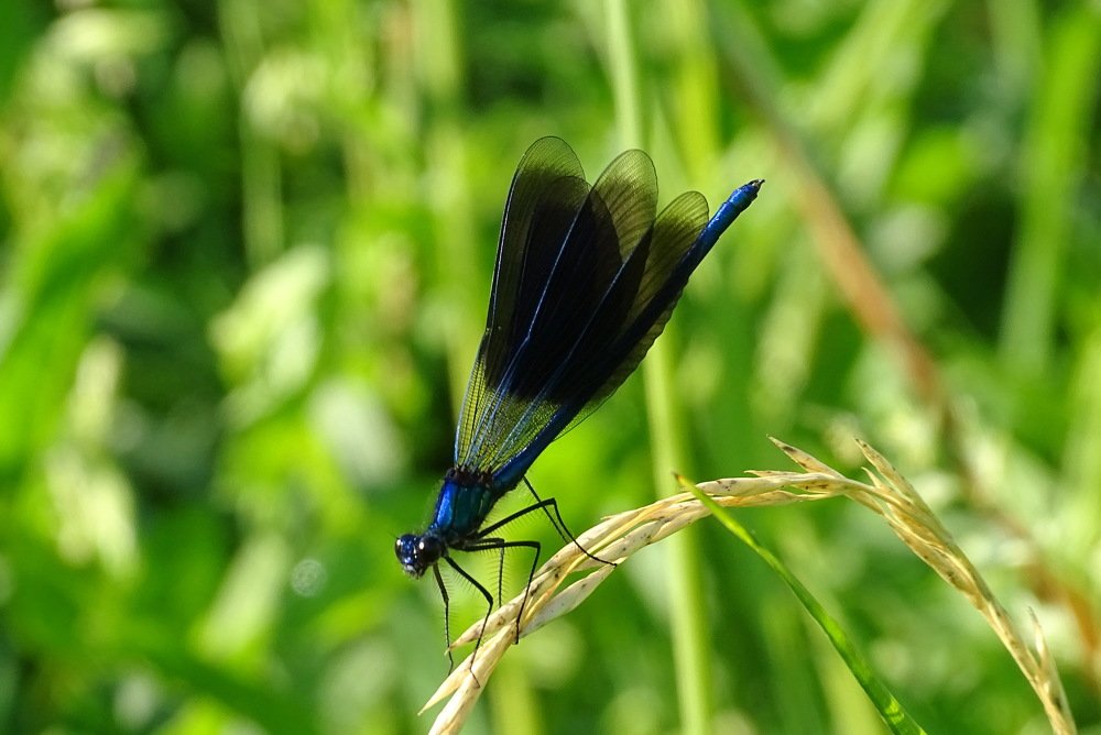 Photograph by Татьяна Калугина