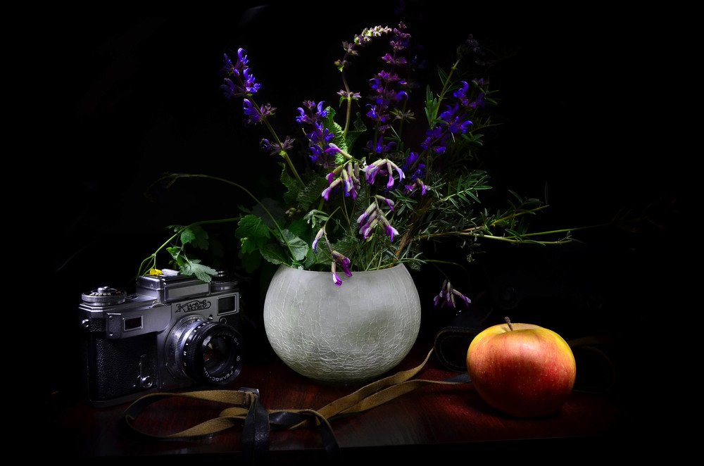 Photograph by Ольга Мокрова