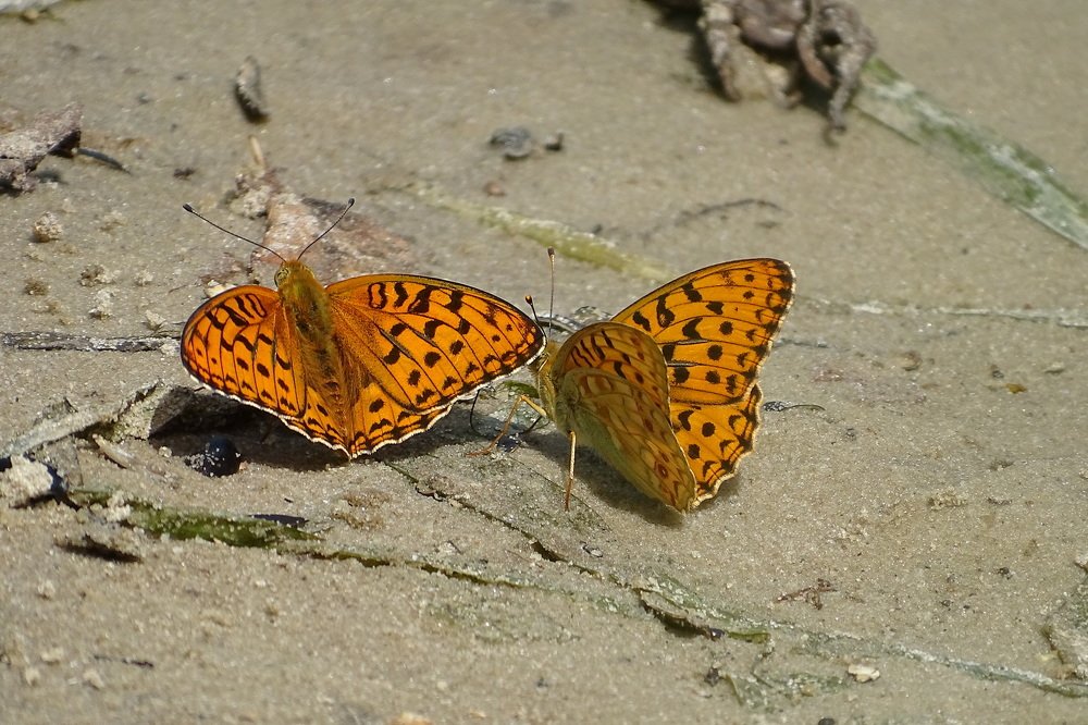 Photograph by Татьяна Калугина