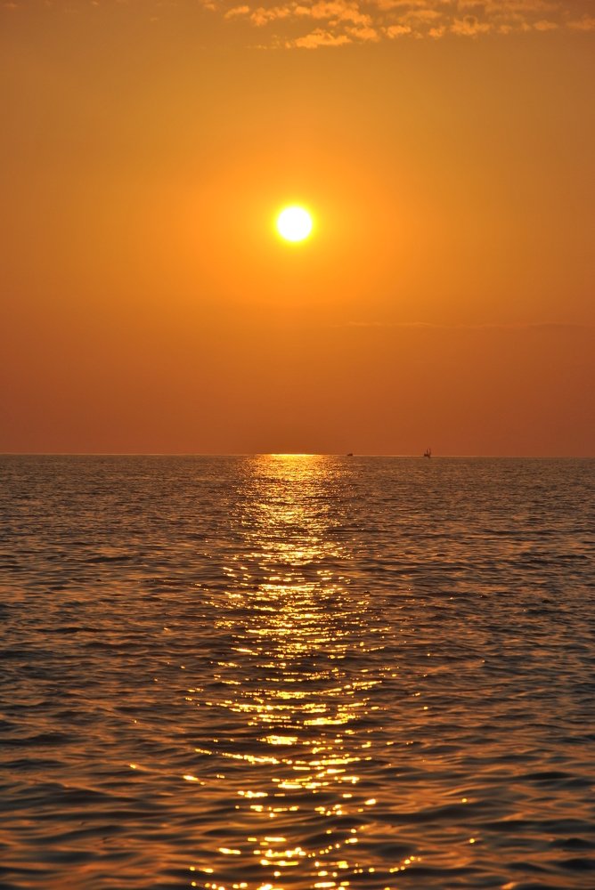 Золото моря.