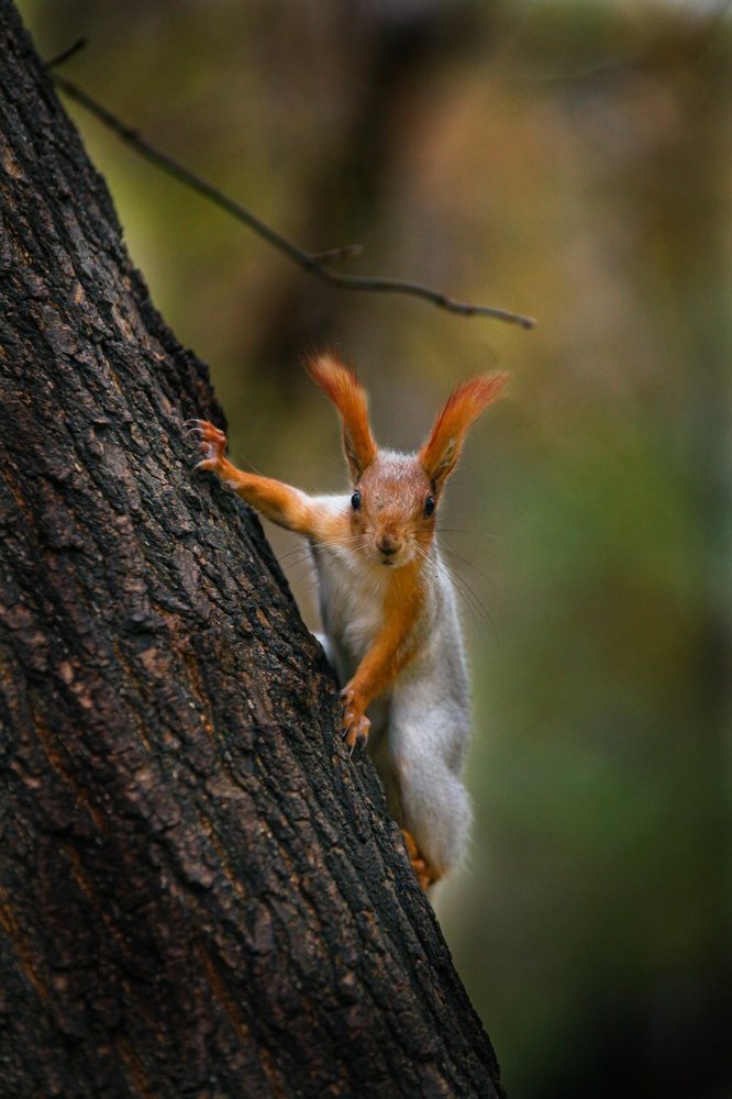 Photograph by Ирина Гавенко