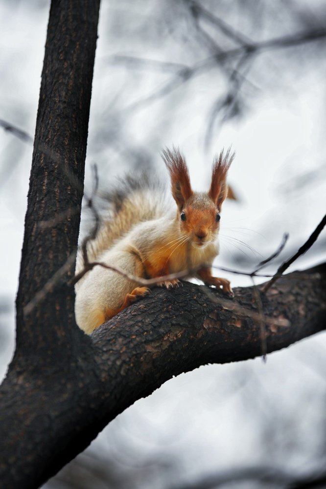 Photograph by Ирина Гавенко