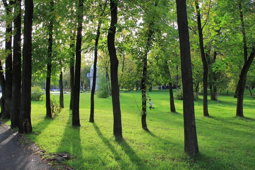 Тёплый сентябрьский день в парке