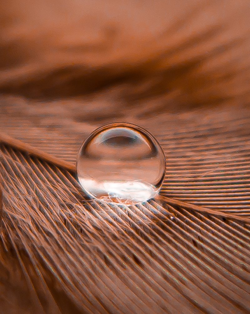 Photograph by Abhishek Patel