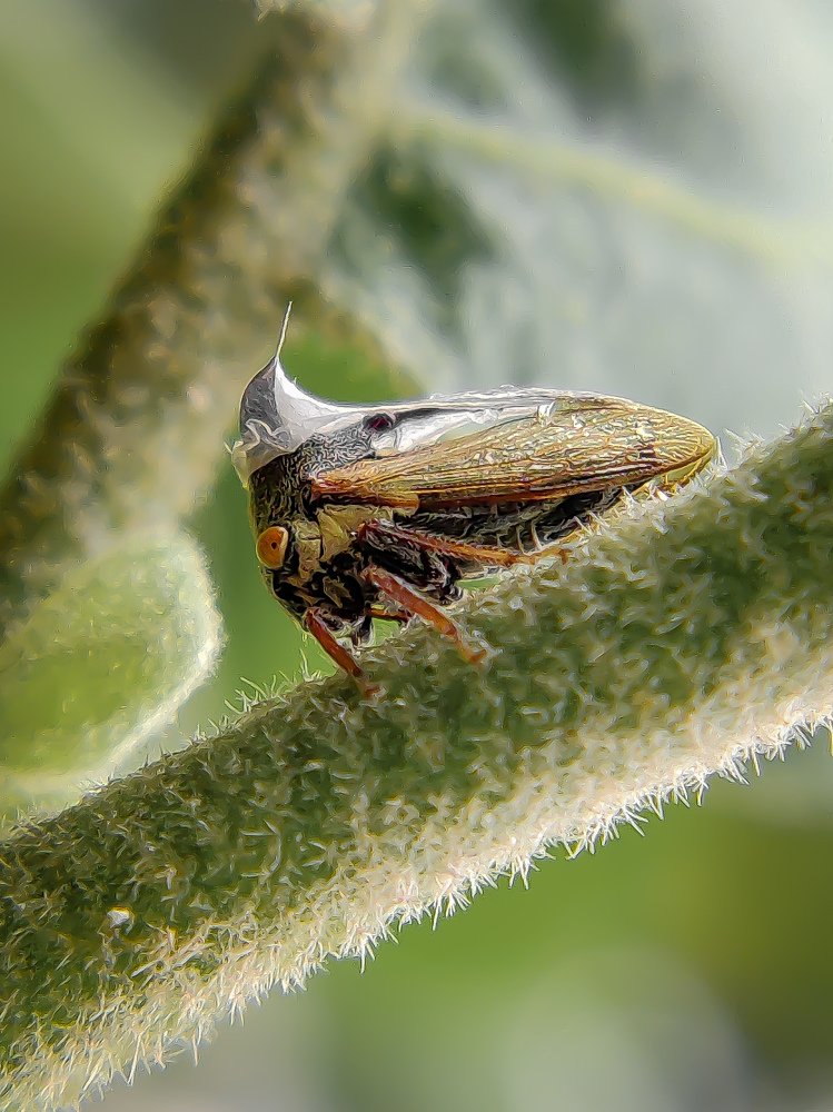 Photograph by Abhishek Patel