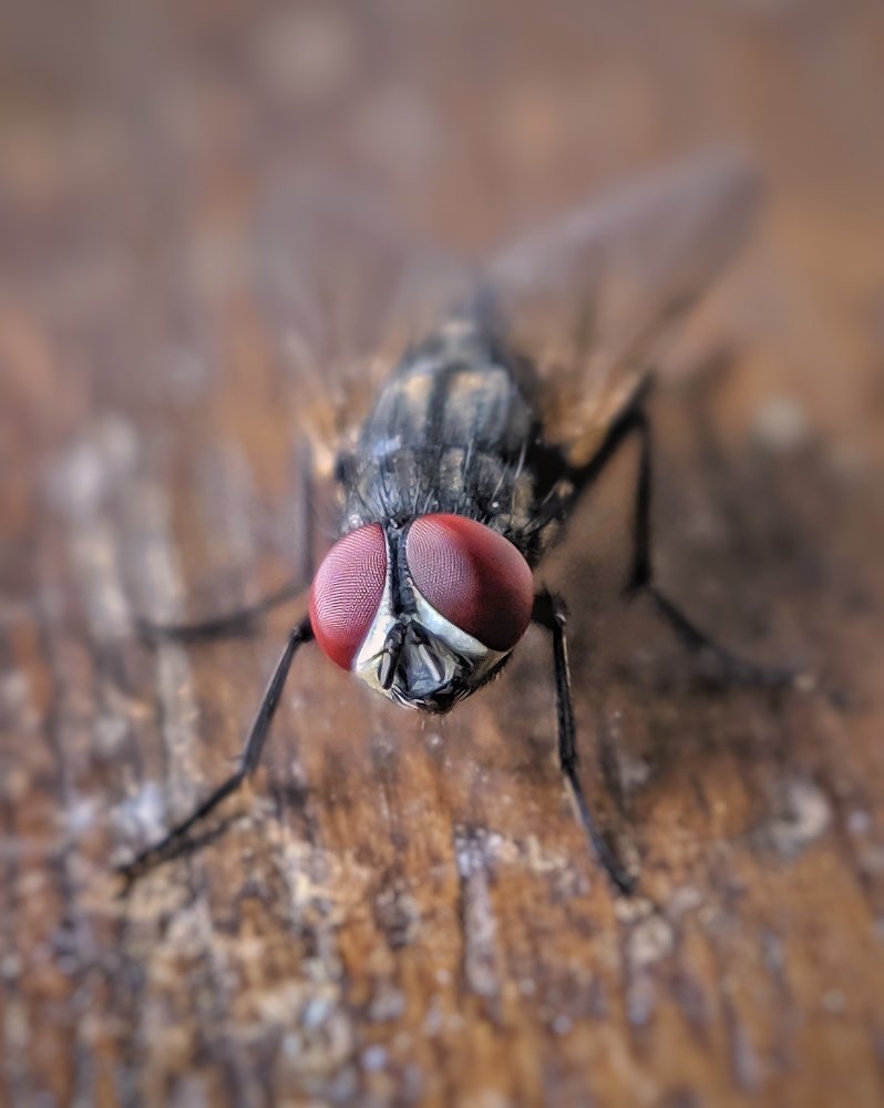 Photograph by Abhishek Patel