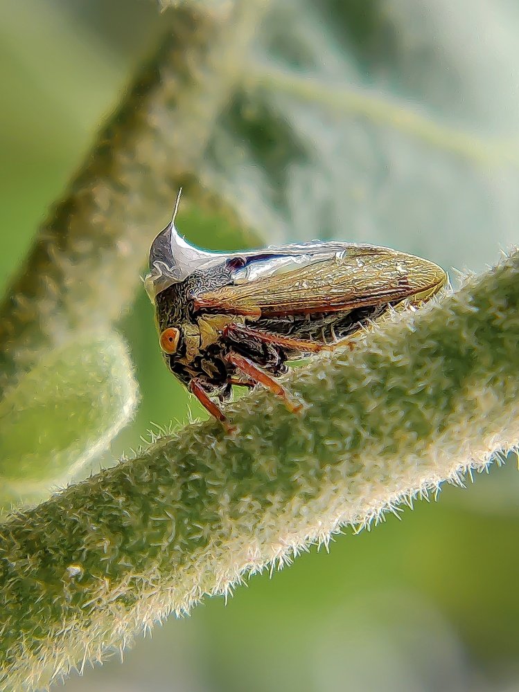 Photograph by Abhishek Patel