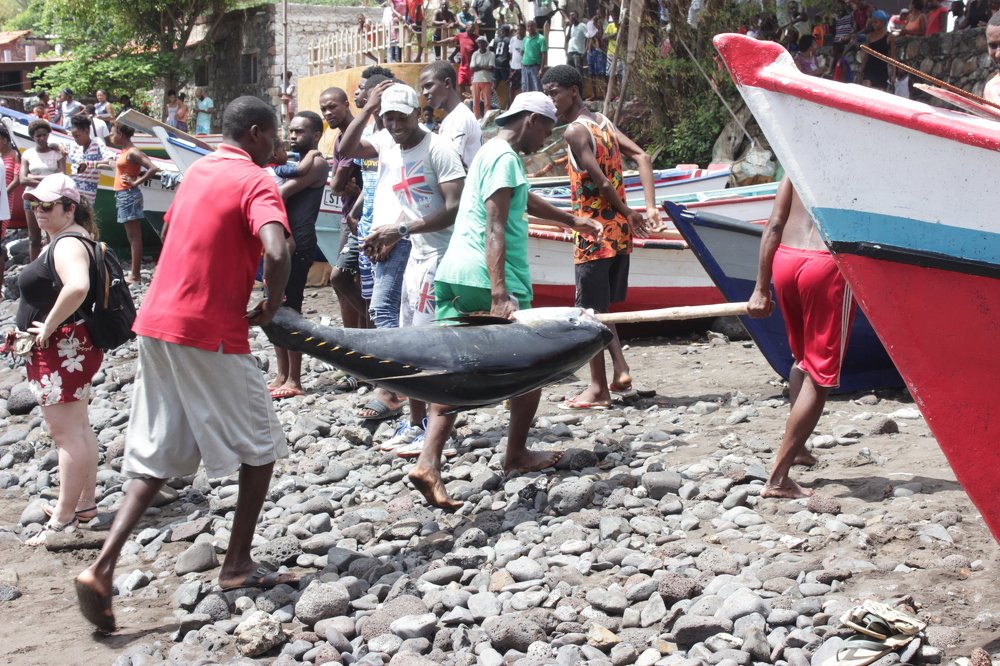 Фотография автора Elton Monteiro