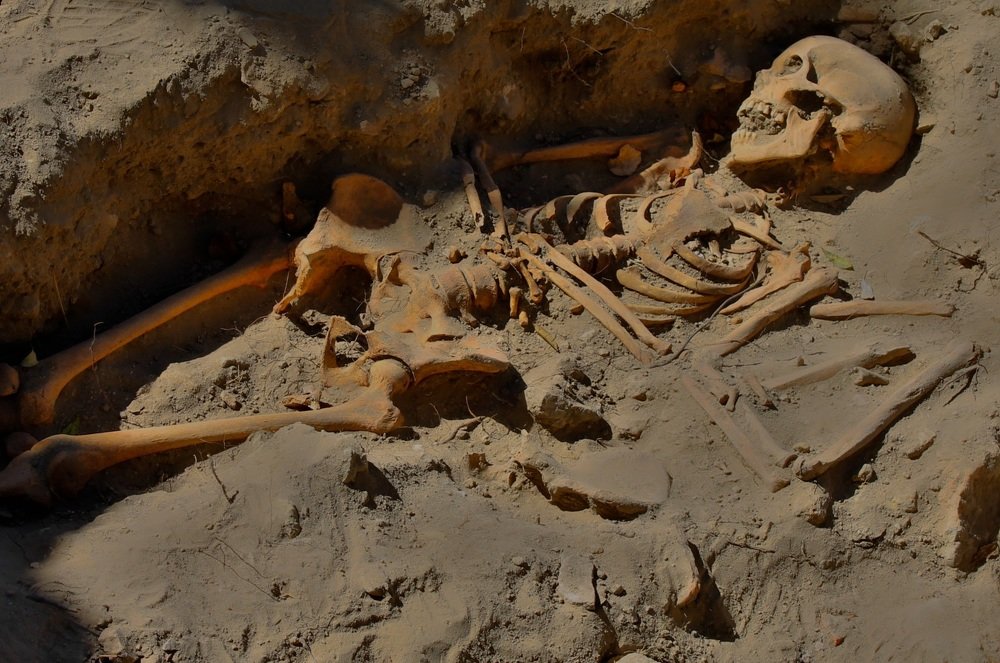 Photograph by Francisco Ferreira