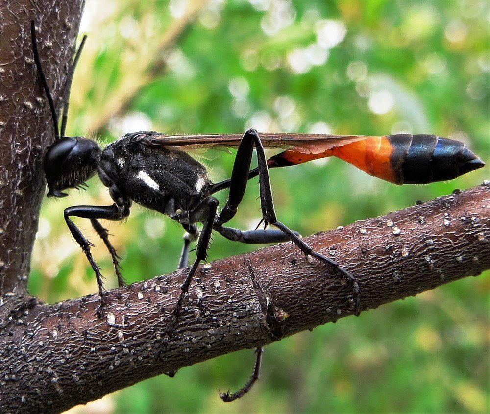 Photograph by Екатерина Салий