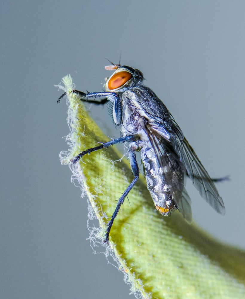 Photograph by Pramathesh Saha