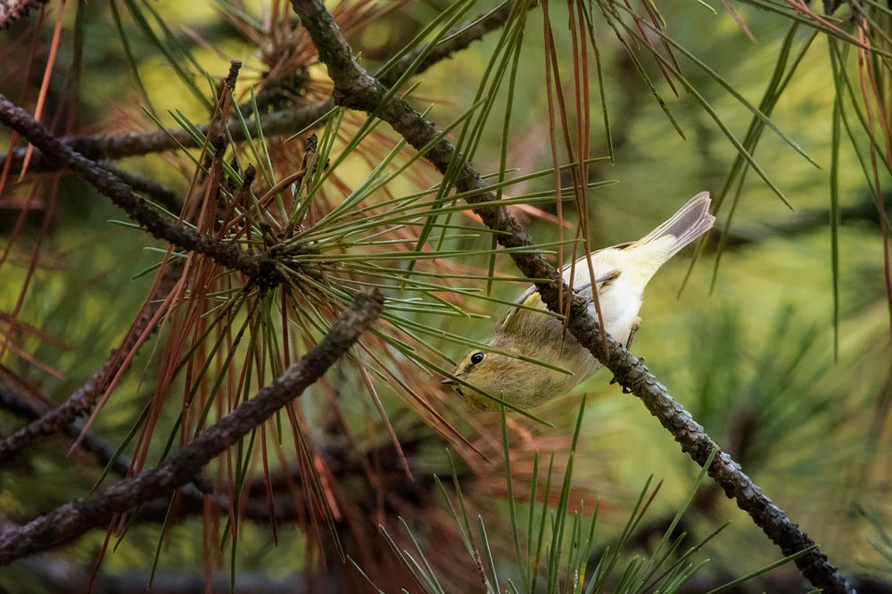 Photograph by Станислав Аристов