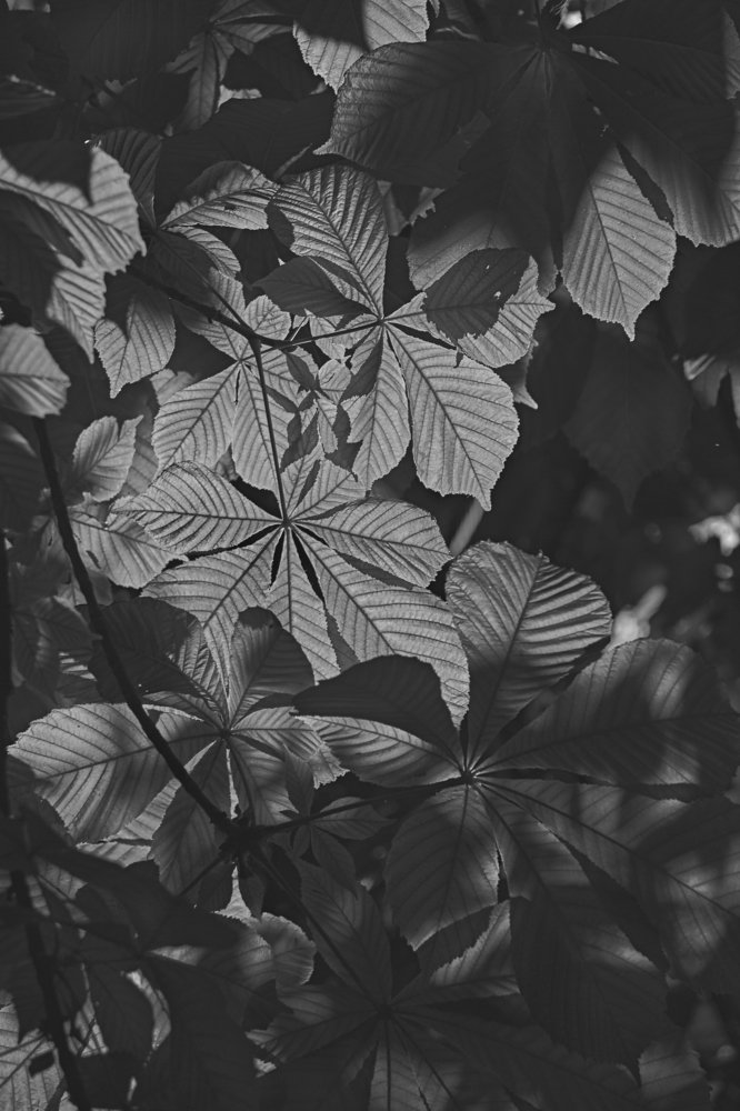 Photograph by Екатерина Ким