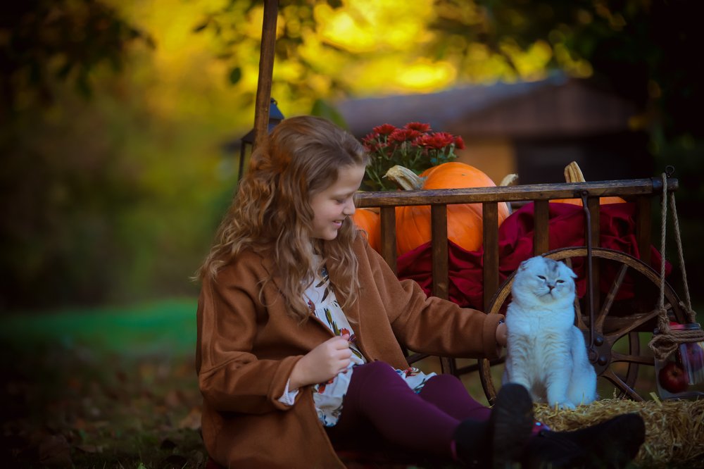 Photograph by Ирина Плоцки