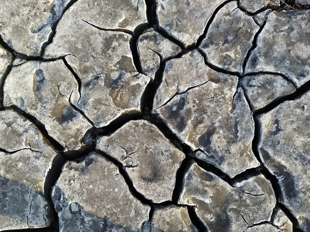 Photograph by Дина Горбачёва