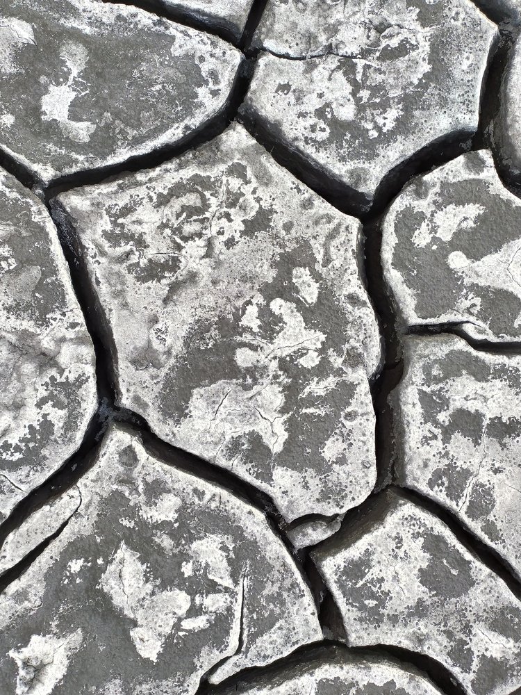 Photograph by Дина Горбачёва