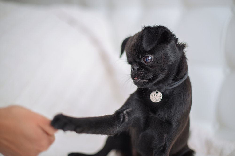 Photograph by Евгения Швецова