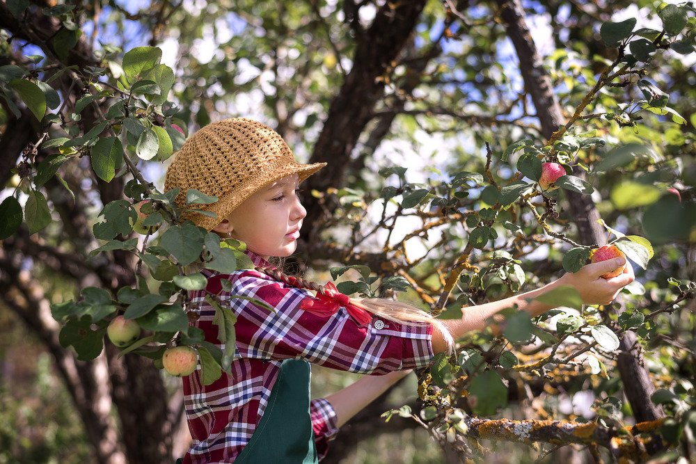 Photograph by Алина Изосимова