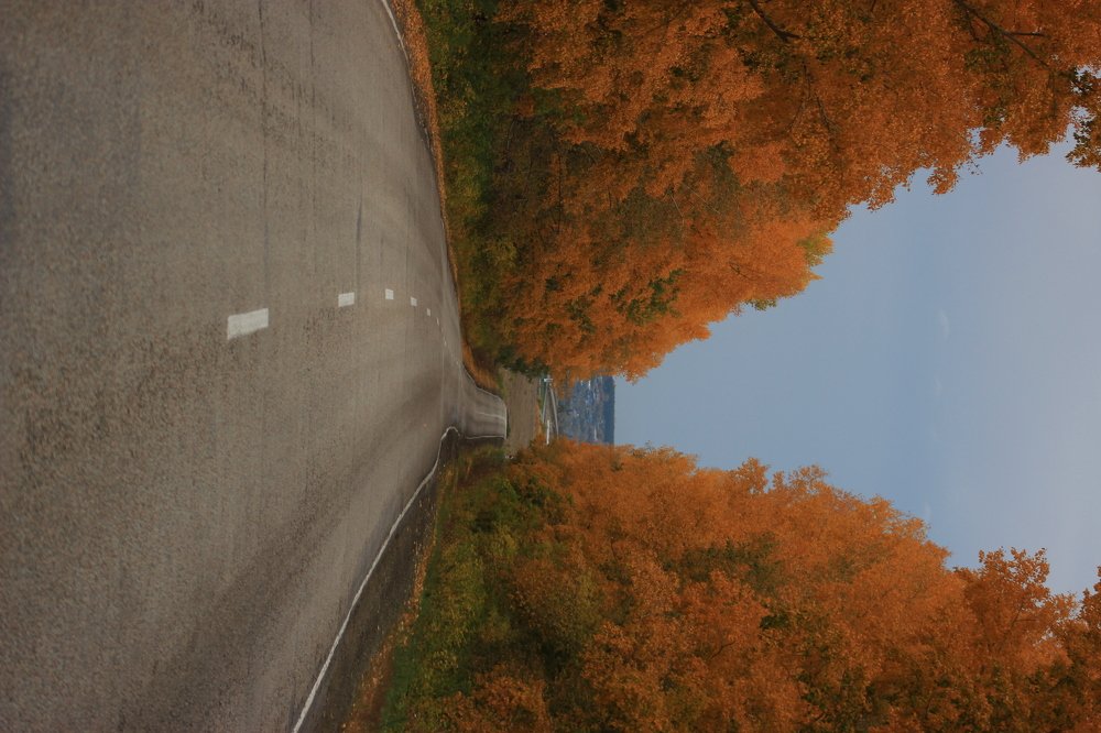 Дорога к счастью