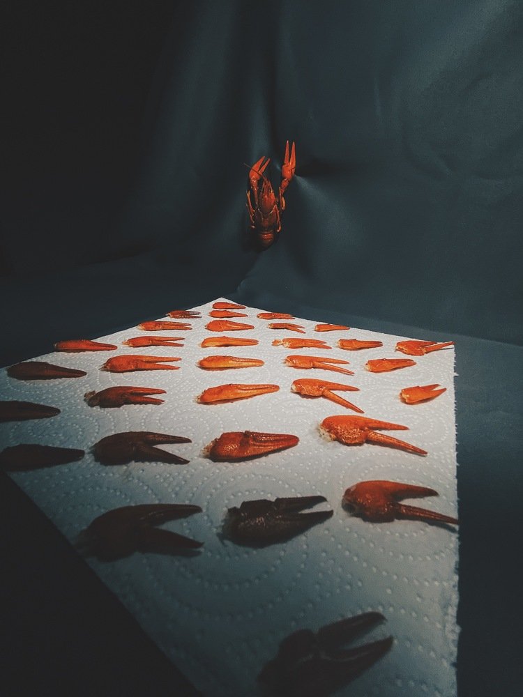 Photograph by Ольга Петухова