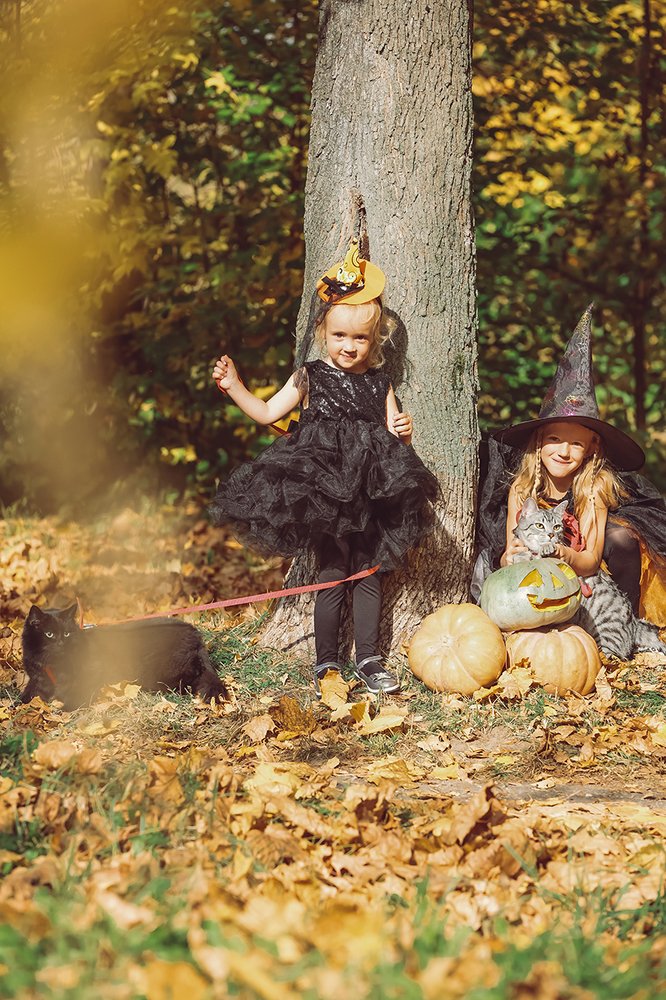 Photograph by Юлия Ляшенко