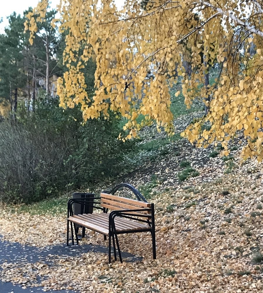 Photograph by Анар Амирова