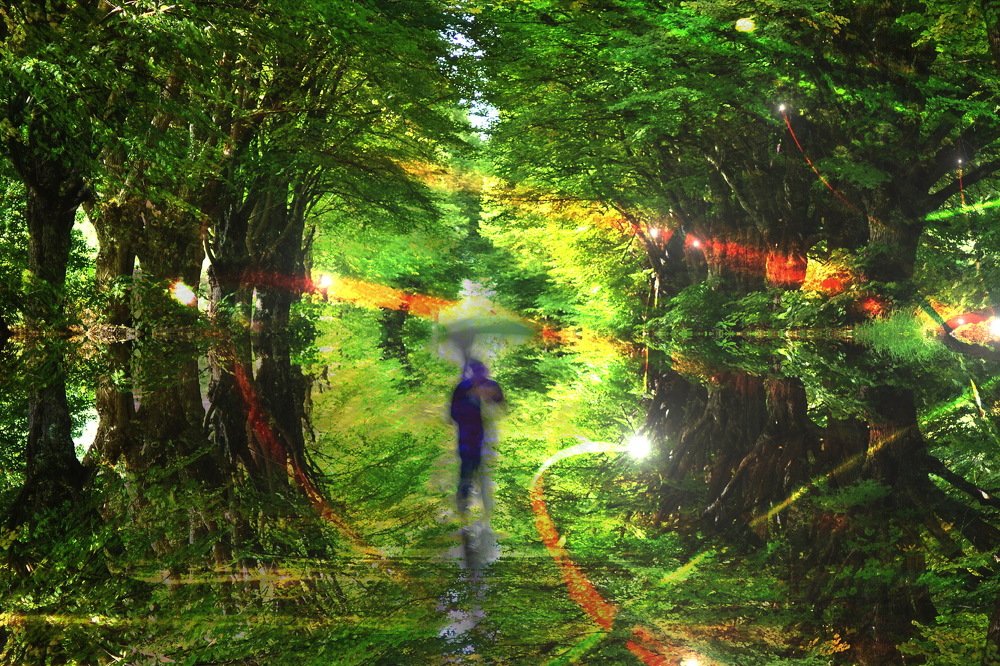 Фотография автора Eimar Kull