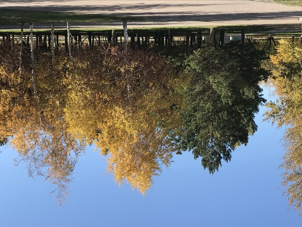 Photograph by Анар Амирова