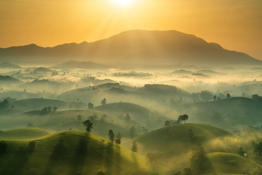 Photograph by Cao Tuan