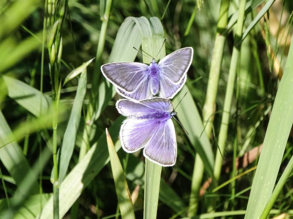 Photograph by Анжелика Трошина