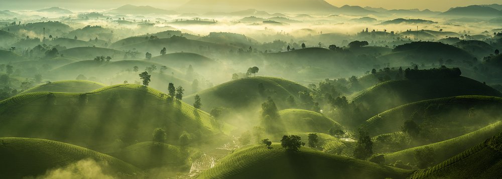 Photograph by Cao Tuan