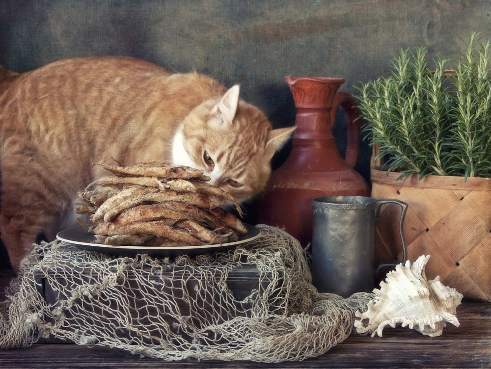 Photograph by Eleonora Grigorjeva