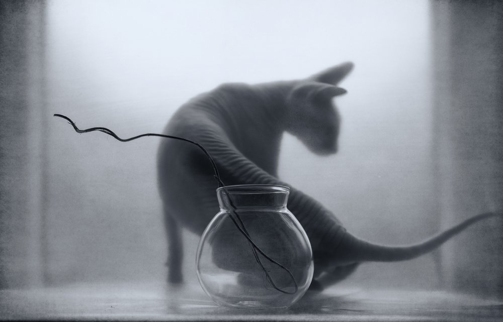 Photograph by Eleonora Grigorjeva