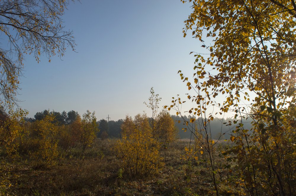 Photograph by Олег Байгозин