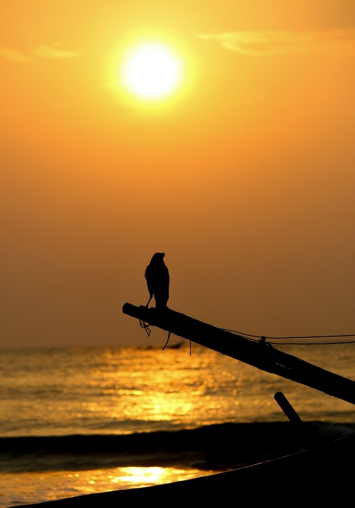 Photograph by ANIRBAN DEB