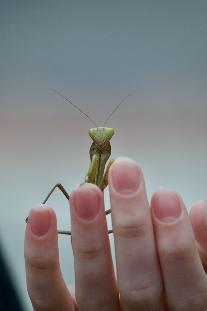 Photograph by Наталья Пирогова
