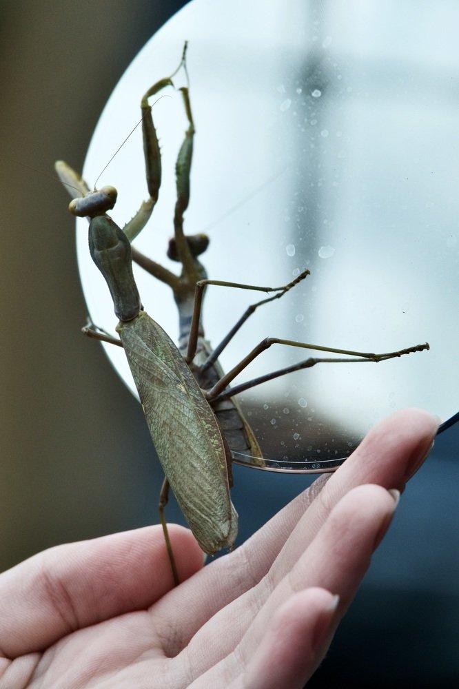 Photograph by Наталья Пирогова