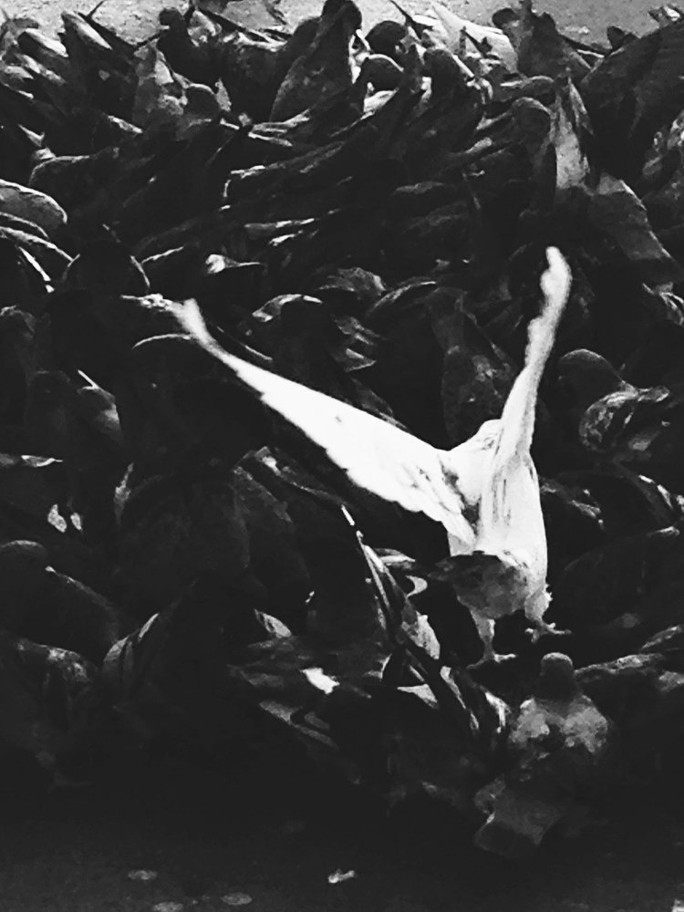 Photograph by Dmitry Skvortsov