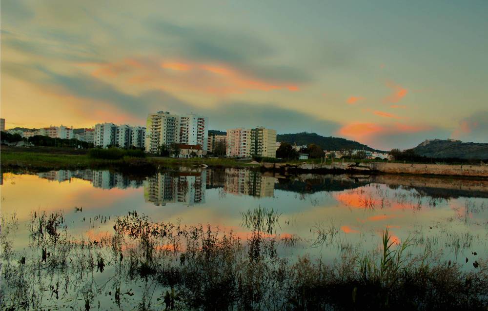 Photograph by Francisco Ferreira