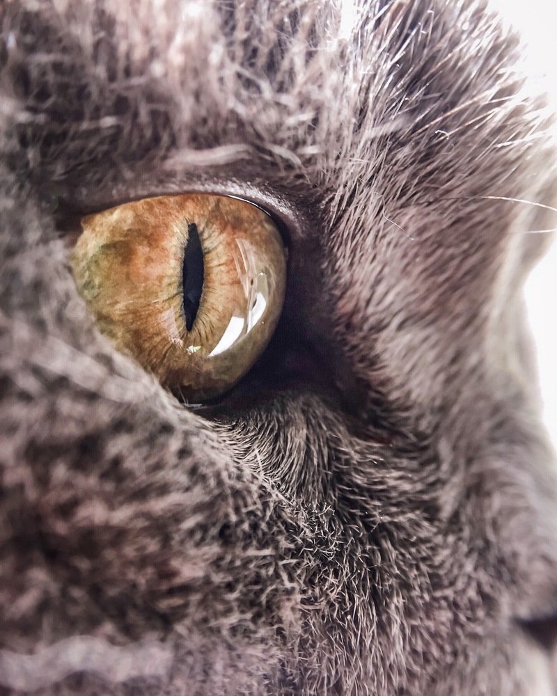 Зазеркалье