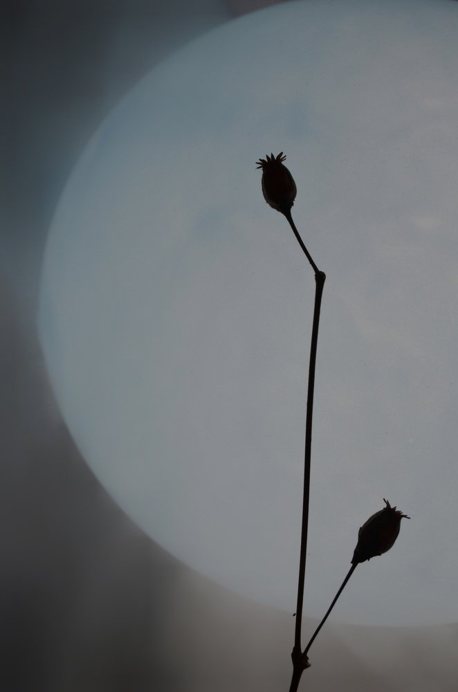 Фотография автора Евгения Илина