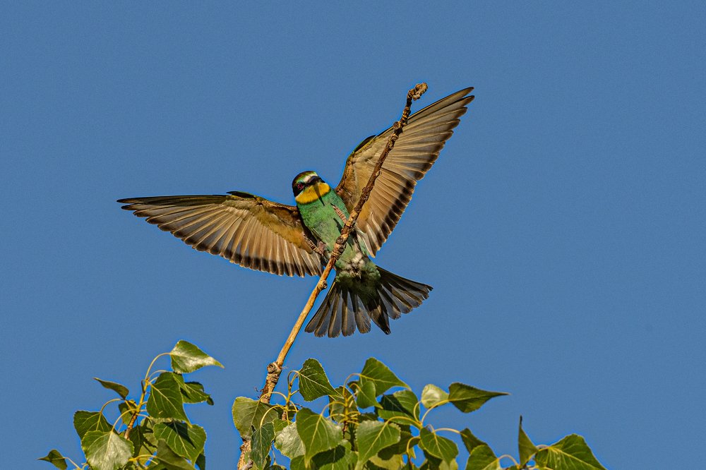 Photograph by Jaroslav Hora