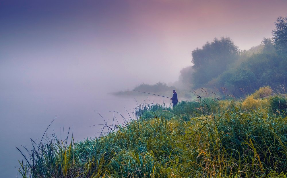 Photograph by Сычев Эдуард