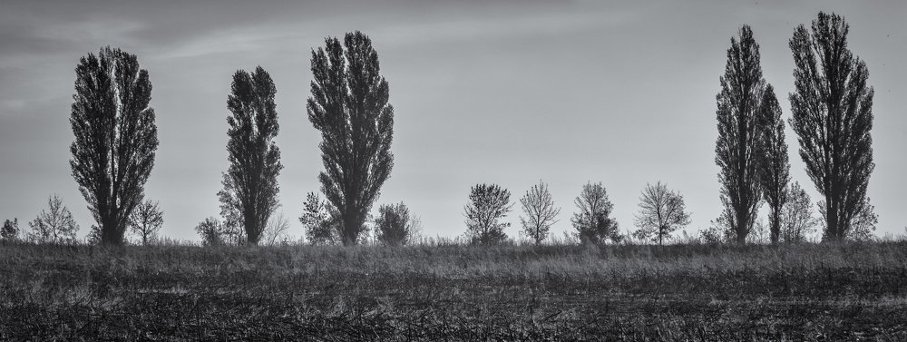 Photograph by Галина Нечипорук