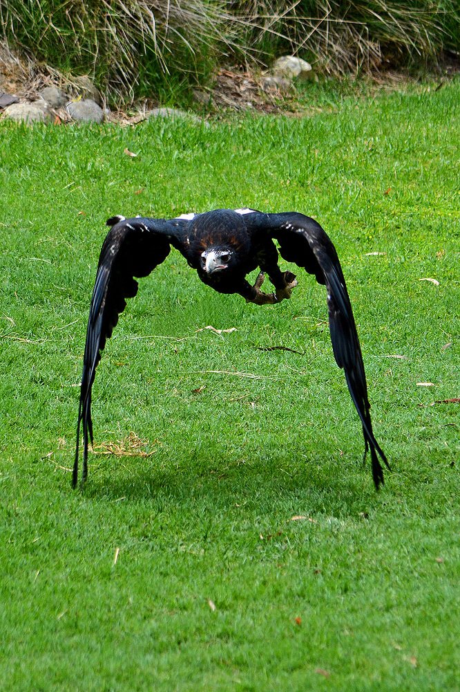 Photograph by Александр Каплан