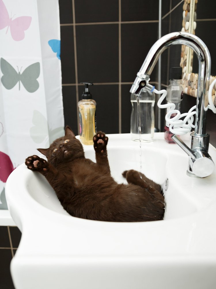 Photograph by Yuliia Nazarova